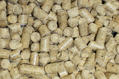 Hive biomass boiler costs
